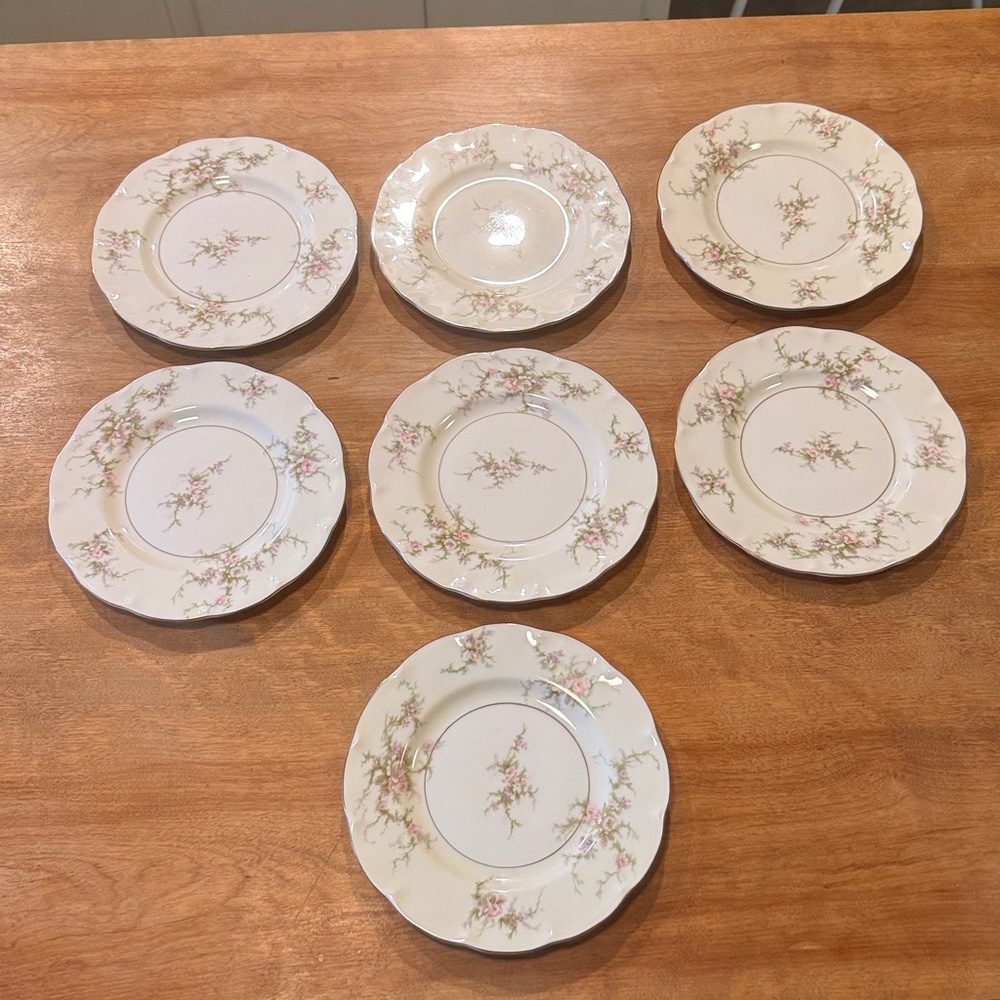 Haviland Floral Patterned Dinner Plates Set